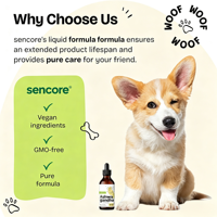Soins de santé pour animaux de compagnie : Gouttes de soutien pulmonaire pour chats et chiens - Soutien immunitaire avec feuille de molène, échinacée, ashwagandha et vitamines liquides