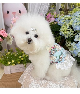 Accesorios para Mascotas, Ropa <span class=keywords><strong>de</strong></span> Verano para Perros y Gatos <span class=keywords><strong>Pequeños</strong></span>, Vestido con Tirantes <span class=keywords><strong>de</strong></span> Alta Elasticidad y Transpirabilidad, Estilo Japonés y Coreano - Product Image 6