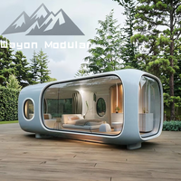 Cabine de jardin préfabriquée Wayon, structure en acier isolée moderne, pour studio de jardin, bord de lac
