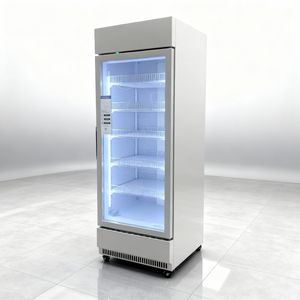 Vitrine réfrigérée à barre mécanique à refroidissement direct à 1 porte avec contrôle numérique de la température pour usage commercial et domestique - Product Image 2