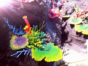 Hoogwaardige, best verkochte kunstmatige koralen voor aquariumdecoratie. Kunstmatige koraalriften te koop. - Product Image 4