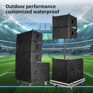 Sistema de Sonido Profesional para Exteriores INSIGAI, Subwoofer con Caja de Madera, Unidad de 10 Pulgadas, 700W de Potencia Programable - Product Image 2