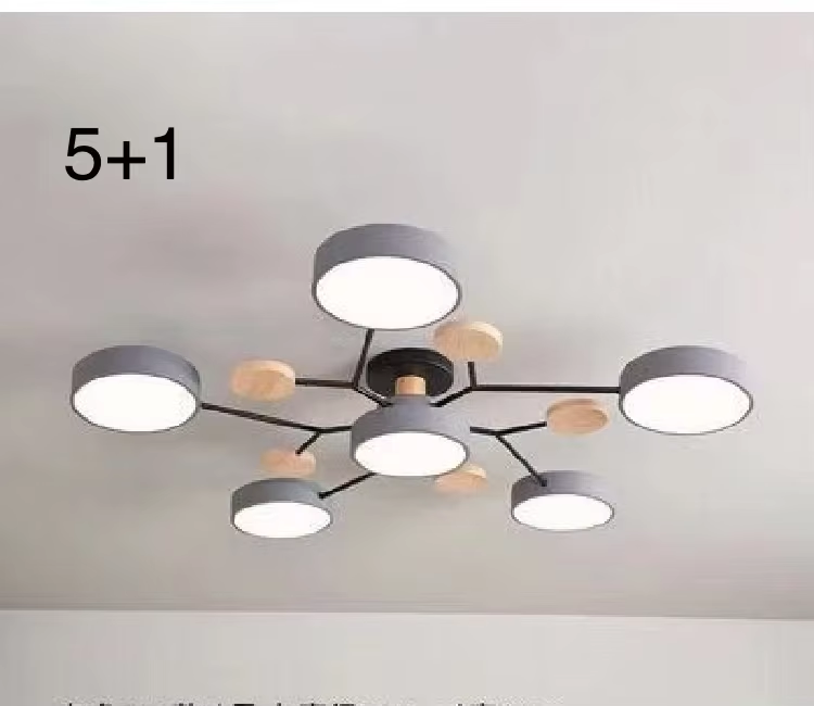 Dark Gray-6 Bulbs