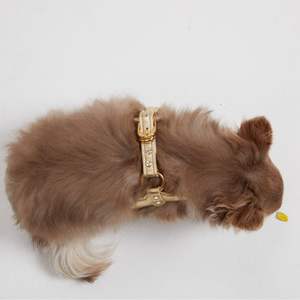 Arnés de cuero premium transpirable con malla en la espalda para perros, acolchado, para paseos de verano y aventuras al aire libre. - Product Image 6