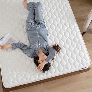 Nệm Giường Khách Sạn Có Thể Đảo Ngược Nệm Khách Sạn Cỡ Lớn Chia Đôi Sử Dụng Hai Mặt Có Khóa Kéo Và Liên Kết Cho Nhà Trọ Hoặc Nhà Khách - Product Image 4