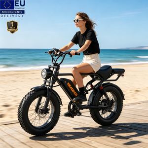 Bicicleta Eléctrica con Suspensión Completa y Llantas Gruesas de 20"x4.0, Motor de 750w, Baterías de 48v 20ah, 80km de Autonomía, Gran Venta en la UE - Product Image 1