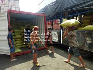 Poudre d'Ulva Lactuca / Algues vertes séchées à prix avantageux en provenance du Vietnam // Mme Lima - Product Image 4