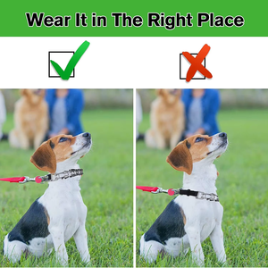 Collar de Adiestramiento para Perros NIBAO, Collar de Adiestramiento con Púas y Hebilla de Liberación Rápida Extraíble - Product Image 5