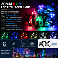 Luces LED de píxeles direccionables RGB, cadena de luces LED de Navidad, sistema de luces permanentes para decoración del hogar, luces puntuales