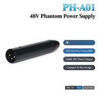 Adaptateur audio en métal 48V Phantom Power Mini XLR 4 broches vers XLR mâle 3 broches pour microphones à condensateur
