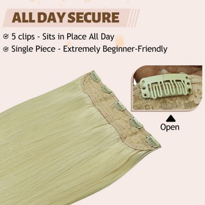 Extensions de cheveux humains russes à clips, une seule pièce, avec 5 clips, prix abordable FH - Product Image 2