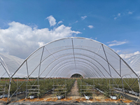 Serre en polyfilm détachable de petite taille de la marque ZHUOTAI, structure en acier léger, portable pour la culture de fruits et d'herbes dans la cour, fabriquée en Chine