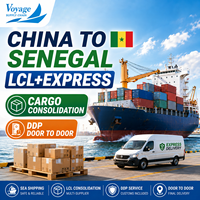 Agente de Transporte Marítimo de China a Senegal, DDP Puerta a Puerta, Consolidación de Carga, Servicio de Entrega Exprés LCL