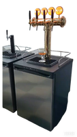 Vente flash : Kegerator portable en acier inoxydable avec tour à bière en forme de T, quatre robinets et lumières pour les fêtes