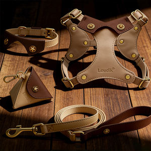 Harness, Tali, dan Kalung Anjing Kulit Lembut Mewah dan Lucu Grosir untuk Anjing Ukuran S,M,L,XL,XXL- Produsen Perlengkapan Hewan Peliharaan Kustom - Product Image 1