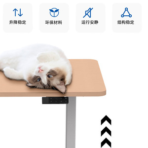 Nate <b>Height</b> <b>Adjustable</b> Gaming <b>Desk</b> Metal Electric Dual Motor Standing <b>Desk</b> with <b>Adjustable</b> Legs for Home Office - Product Image 3