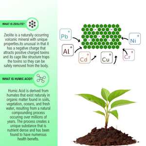 Wellbody อาหารเสริมสำหรับสุขภาพสุขภาพสุขภาพสำหรับผู้ใหญ่ - Product Image 6