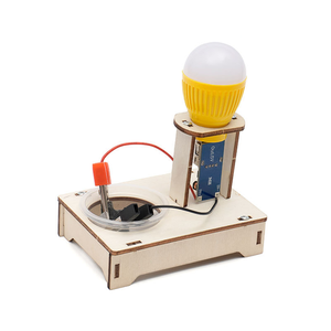 Enfants École Science Expérience Physique Lumières DIY Assemblage Éducatif Bois Eau Salée Puissance <span class=keywords><strong>Lampe</strong></span> Science Jouets - Product Image 4