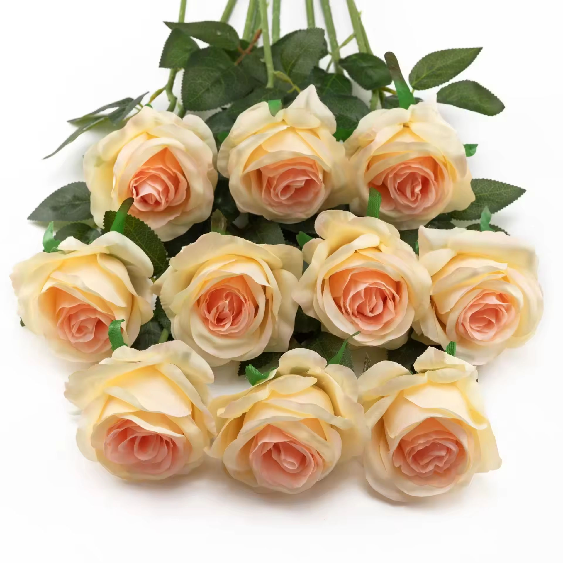 แชมเปญ (แก้วเดี่ยว)