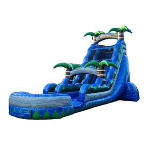 Thương mại lớn dành cho người lớn kích thước lửa đẹp cây cọ sân sau trượt nước Inflatable với hồ bơi để bán - Product Image 2