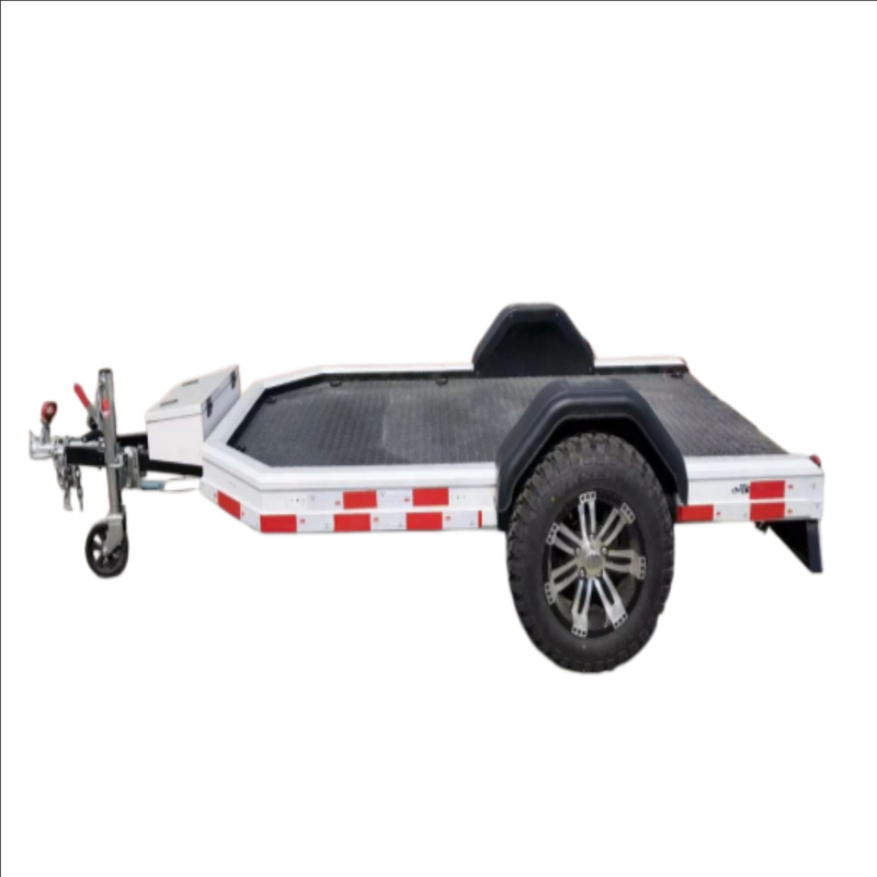 Zebang Factory Custom Motorcycle and ATV