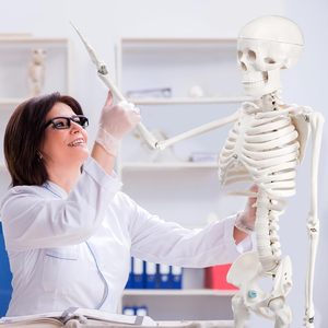 33.4 ''di chuyển một nửa kích thước cơ sở Mô hình bộ xương người với cánh tay và chân cho sinh viên khoa học y tế và giáo viên - Product Image 6