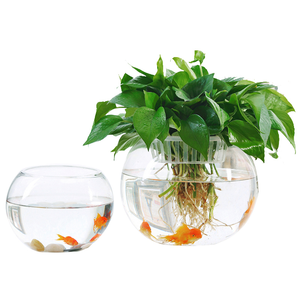 Hoge Kwaliteit Groothandel Kleine/Mini Ronde Glazen Draagbare <span class=keywords><strong>Aquarium</strong></span> Met Accessoires - Product Image 3