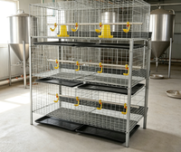 Cage à poulets à 3 étages et 2 portes, capacité 60 oiseaux, avec portes anti-évasion