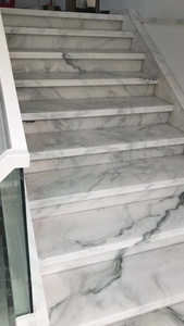 चीन उच्च गुणवत्ता पटिया टाइल पांडा के लिए सफेद काले नस के साथ संगमरमर सीढ़ी मंजिल - Product Image 3