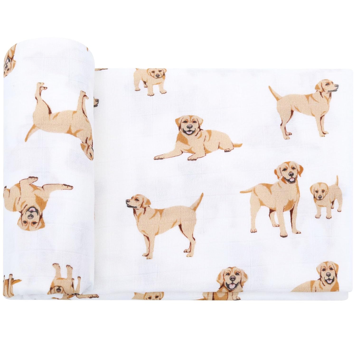 Labrador