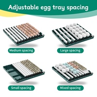 Incubateur de 38 Œufs pour l'Éclosion de Poussins, Machine d'Incubation Entièrement Automatique