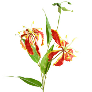 Yihua - Flor de Lirio Artificial de Seda con Efecto de Llama, Decoración para el Hogar, Estilo Moderno y Simple, Rojo, Naranja, Blanco, BH023 - Product Image 5