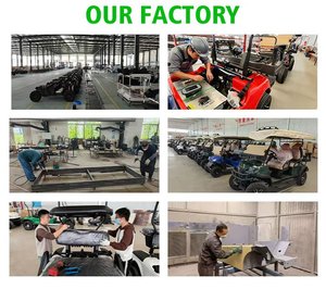 Giá thấp 2 CHỖ NGỒI 3000W động cơ tùy chỉnh màu sắc nhẹ điện Golf cart'for Scenic Spot - Product Image 6