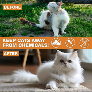 OEM Flea Tick Support Soft Chew pour <span class=keywords><strong>chat</strong></span> – Soutient les défenses naturelles contre les <span class=keywords><strong>puces</strong></span>, les tiques et les moustiques – Soutient la santé de la peau et du pelage grâce à l'ail - Product Image 2