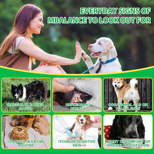 Oimmal 30 Masticables Blandos para la Salud Digestiva e Intestinal, Suplemento Natural para Mascotas, Golosinas para <span class=keywords><strong>Perros</strong></span>, Masticables Blandos Probióticos para Mascotas - Product Image 6