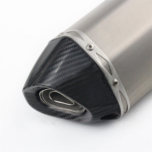 Pot d'échappement Scorpion en alliage de titane et fibre de carbone pour moto BMW <span class=keywords><strong>F800GS</strong></span>/F700GS, couleur argent noir - Product Image 3