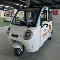 Voiture électrique mini polyvalente, sièges arrière pliables rapidement, feux arrière LED, moteur 50 kW, batterie lithium-ion, autonomie 101-200 km, couleur personnalisée