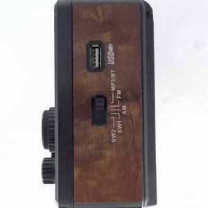 วิทยุพกพาแบบชาร์จไฟได้จากโรงงาน OEM รองรับคลื่น FM AM SW พร้อมหูหิ้ว เล่นเพลง MP3 ผ่านบลูทูธ มีพอร์ต USB TF AUX ความไวสูง ใช้ได้ทั้งในบ้านและนอกบ้าน - Product Image 3