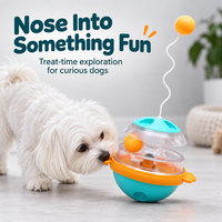 Distributeur de nourriture pour chien, jouet interactif pour chat, balle à friandises, jeu d'intelligence, activité intérieure, libération d'énergie, accessoires pour animaux de compagnie