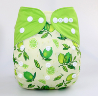 Couche-culotte en tissu biologique lavable et réutilisable à bas prix