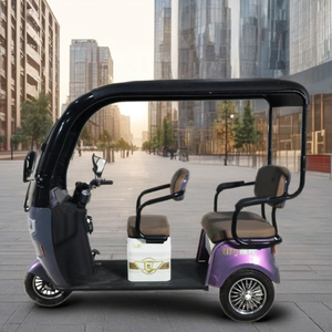 Tricycle à 3 roues QSD Factory Scooter, auto-rickshaw, tricycle pour passagers, tricycle en acier - Product Image 4