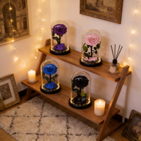 Rose éternelle préservée en gros sous cloche en verre avec LED pour la Fête des Mères - Longue durée de vie (3-5 ans)