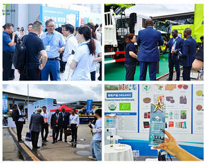 Polvo labial <span class=keywords><strong>de</strong></span> mejillón verde puro <span class=keywords><strong>natural</strong></span> <span class=keywords><strong>de</strong></span> grado alimenticio 99% - Product Image 6