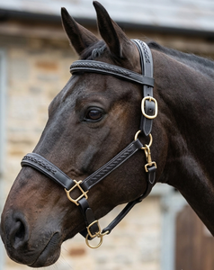 Premium DD Leather Handmade Leather Braided Equestrian <b>Halter</b> - Product Image 2