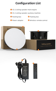 Altavoz de Techo WiFi CS-2 de 6.5 Pulgadas, 60W, 4ohm, Altavoz Activo y Pasivo con AirPlay, DLNA, Audio Multi-Habitación - Product Image 6