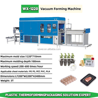 Machine voor het automatisch maken van PP PET zaailingbakjes, voedselcontainers, fruitdozen en wegwerp lunchboxen - hoge productiviteit vacuümvormen