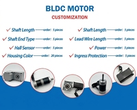 Motor BLDC 250W 3000RPM 48V Torsi Tinggi 3000rpm 4000rpm Kecepatan Tinggi Motor DC Tanpa Sikat untuk Otomasi Industri