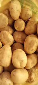 Высокодоходные свежие картофельные сорта высшего качества нового урожая по низкой цене за тонну с быстрой доставкой из провинции Шаньдун - Product Image 6