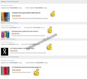 10ply Wholesale <strong>Ostrich</strong> <strong>Feather</strong> <strong>Boa</strong> for Women Home Party Wedding Xmas Decor DIY Craft Clothing Costume Dance Dress - Product Image 5