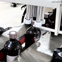 Équipement de bouchage de bouteilles avec alimentateur automatique de bouchons, compatible avec une machine de remplissage/étiquetage